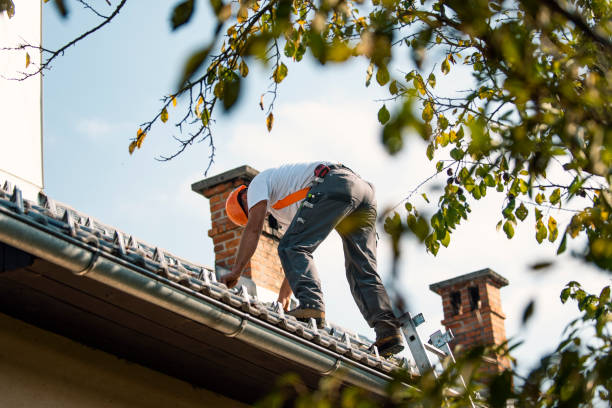 Best New Roof Installation  in Eastwood, MI