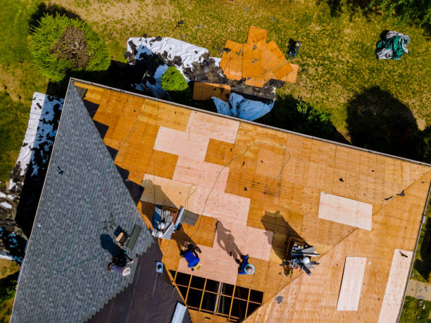 Best New Roof Installation  in Eastwood, MI