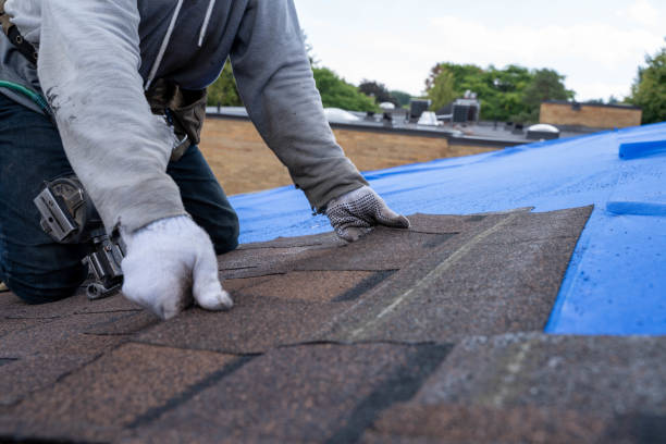Best Roof Leak Repair  in Eastwood, MI