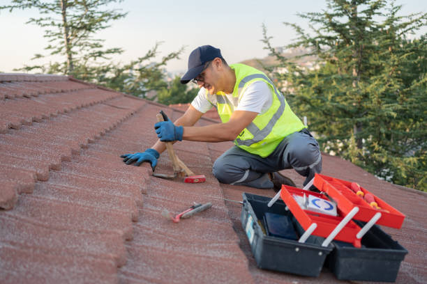 Best Emergency Roof Repair  in Eastwood, MI