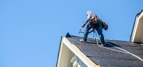 Best Roof Waterproofing Services  in Eastwood, MI